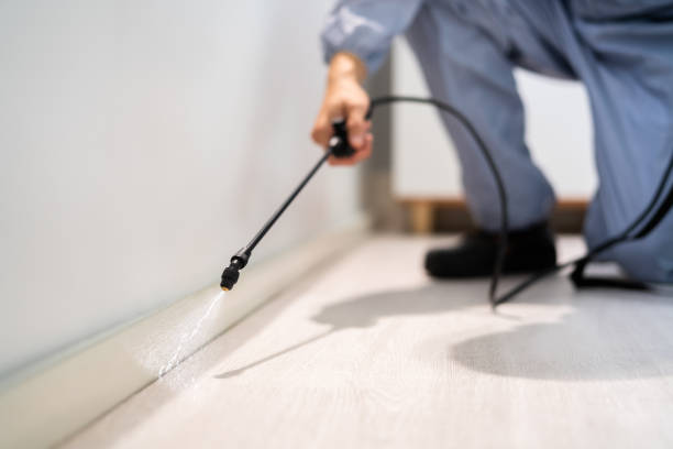 Licensed Mosquito Control service in Gig Harbor, WA - Show Me Pest Control