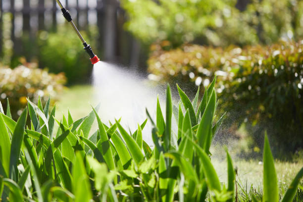 24/7 Emergency Mosquito Control experts in Gig Harbor, WA
