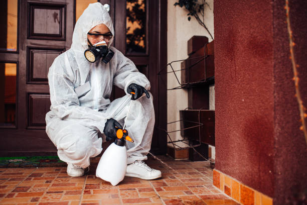 Reliable Mosquito Control contractor in Gig Harbor, WA by Show Me Pest Control