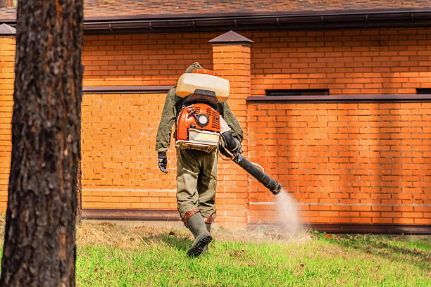 Top rated local Mosquito Control specialists in Gig Harbor, WA